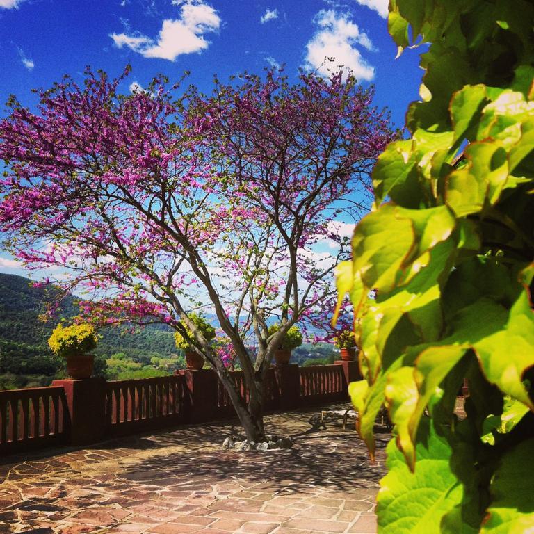 Masia Vista Hermosa Vallromanes Exterior photo
