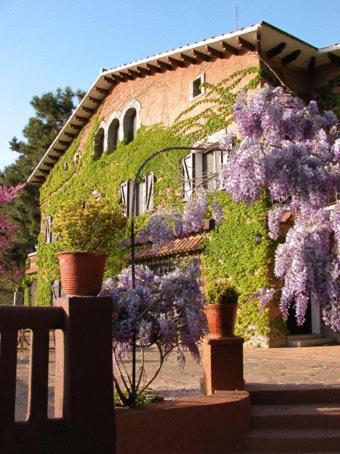 Masia Vista Hermosa Vallromanes Exterior photo
